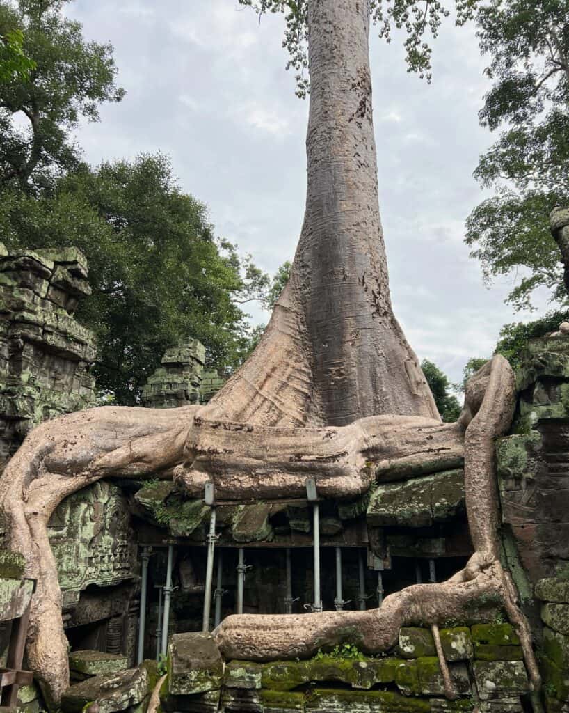 Ancient temple with nature reclaiming stonework